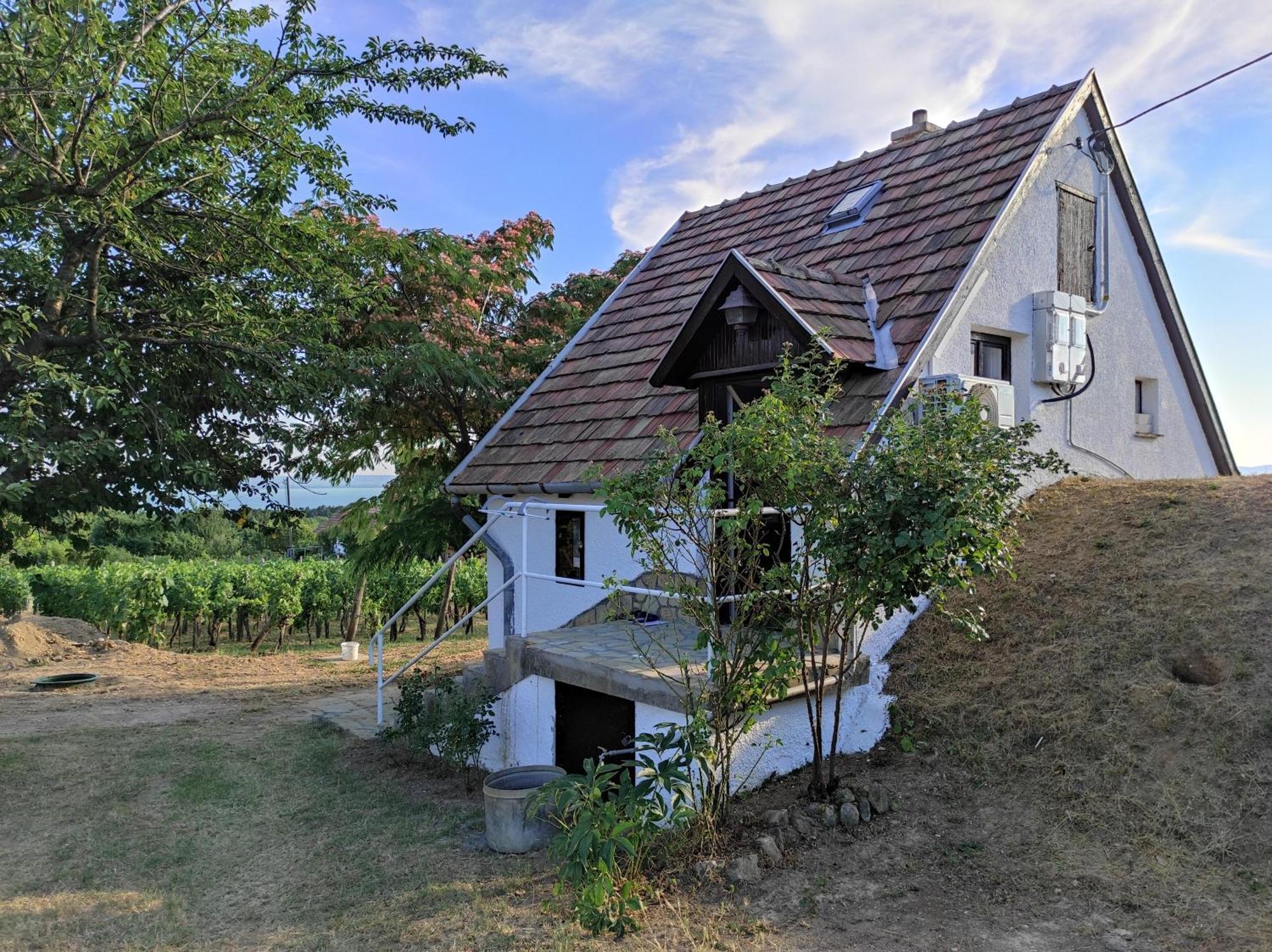 Apartament Kishaz A Szolohegyen Balatonakali Zewnętrze zdjęcie