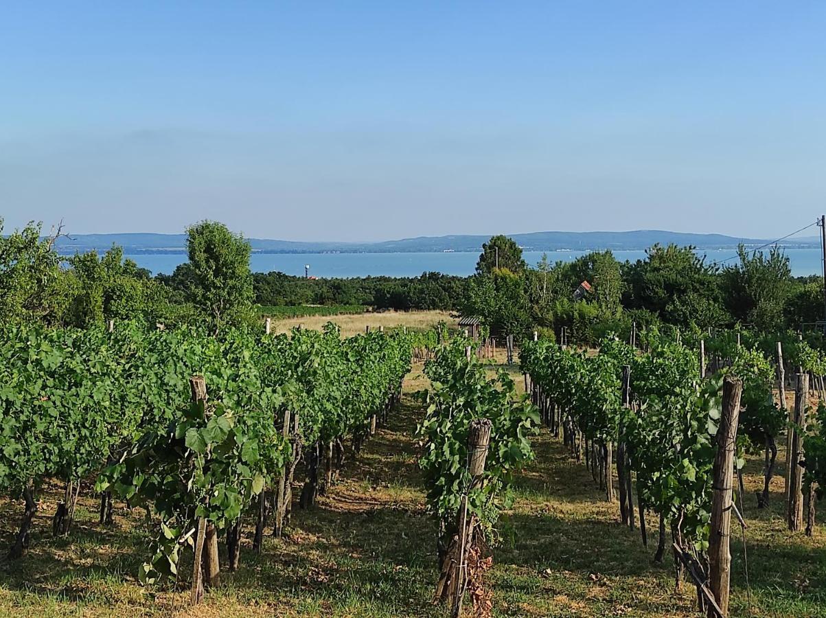 Apartament Kishaz A Szolohegyen Balatonakali Zewnętrze zdjęcie